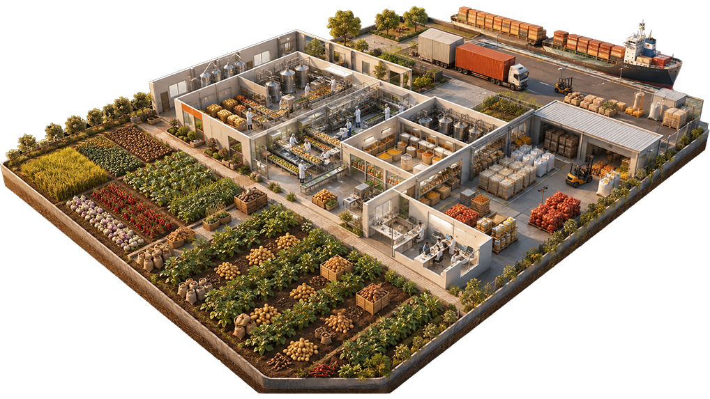 Crimzon agricultural export ecosystem, Farm to global export, Crimzon processing logistics network